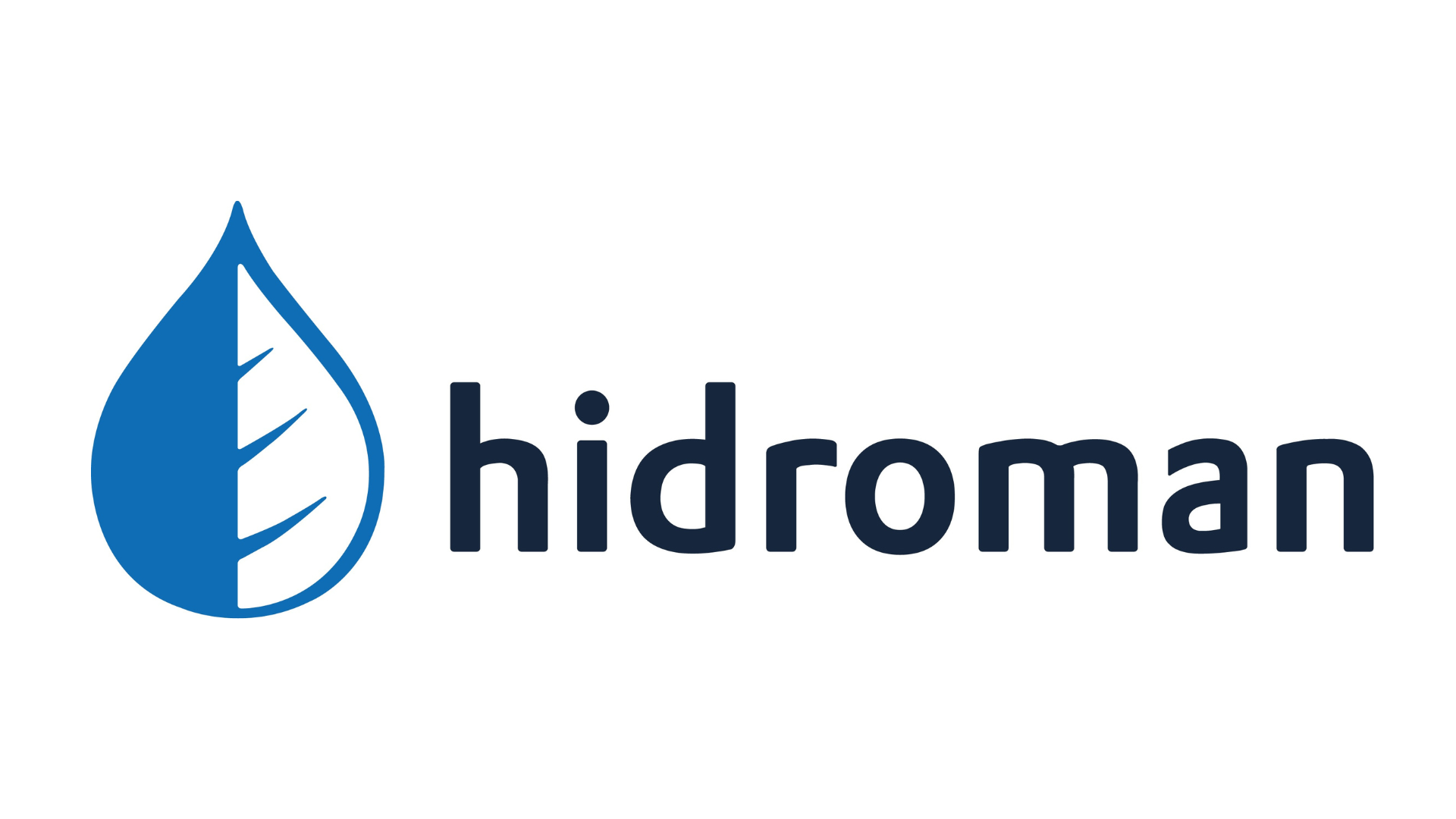 Hidroman